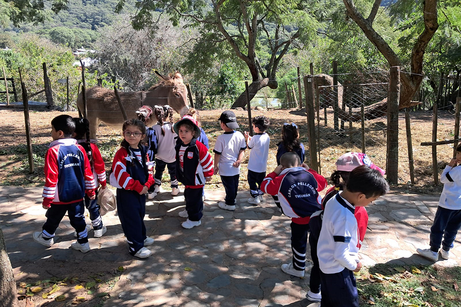 Visita de las salas de 5 años a la Reserva de San Pedro de Colalao Nivel Inicial