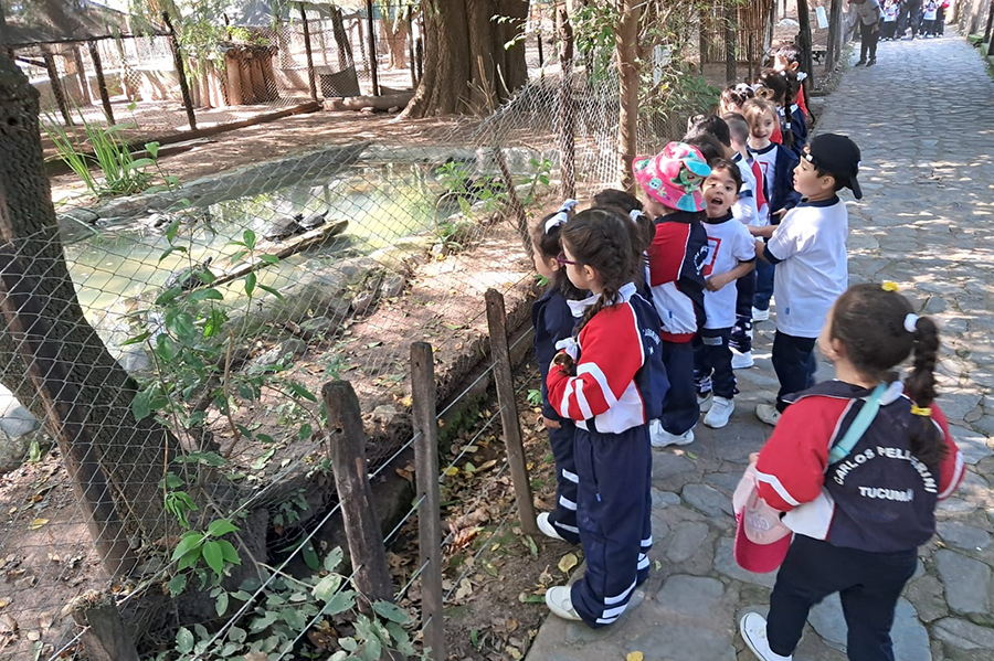 Visita de las salas de 5 años a la Reserva de San Pedro de Colalao Nivel Inicial